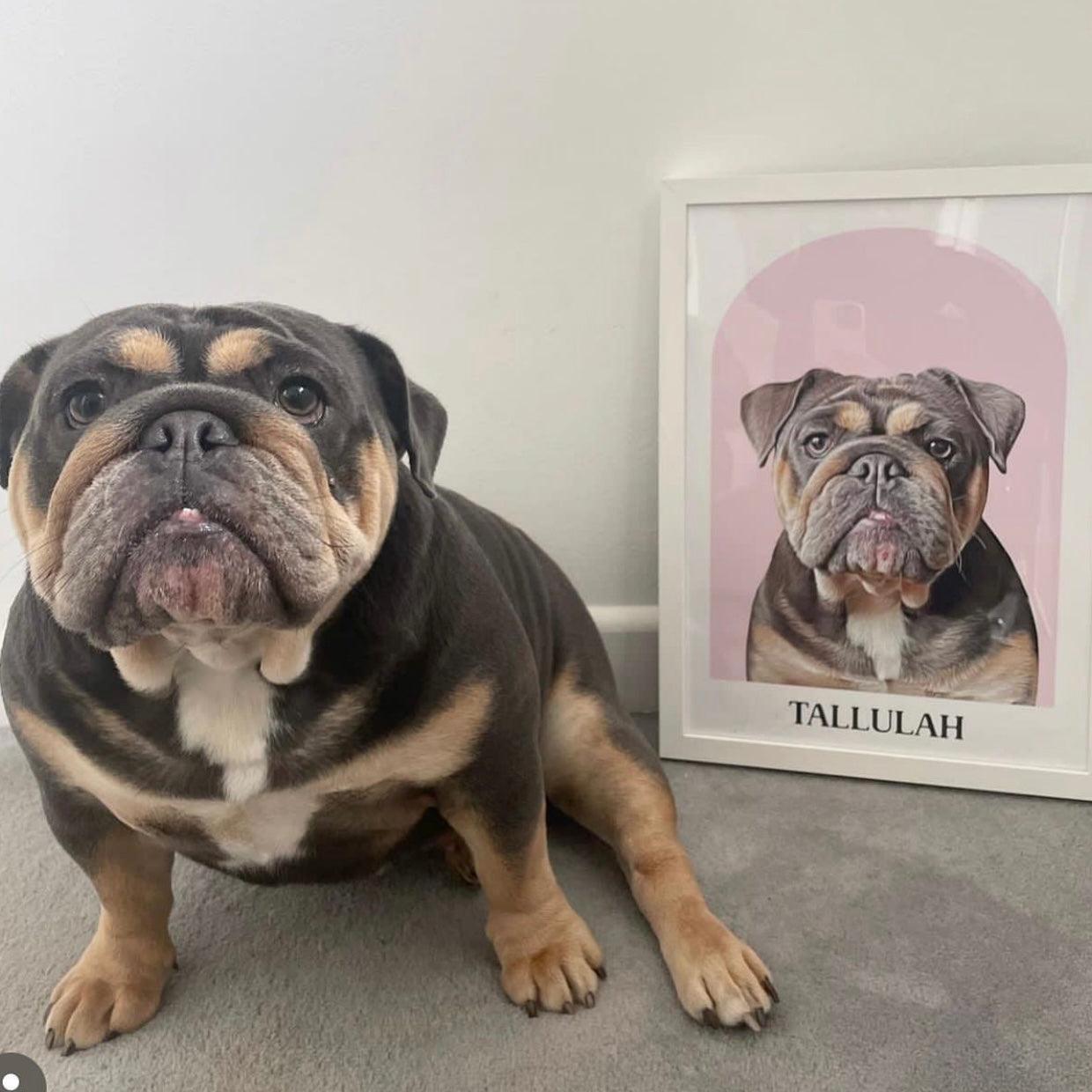 Arch Realistic Pet Portrait - Pets Into Art - Custom Dog and Cat Artworks Australia