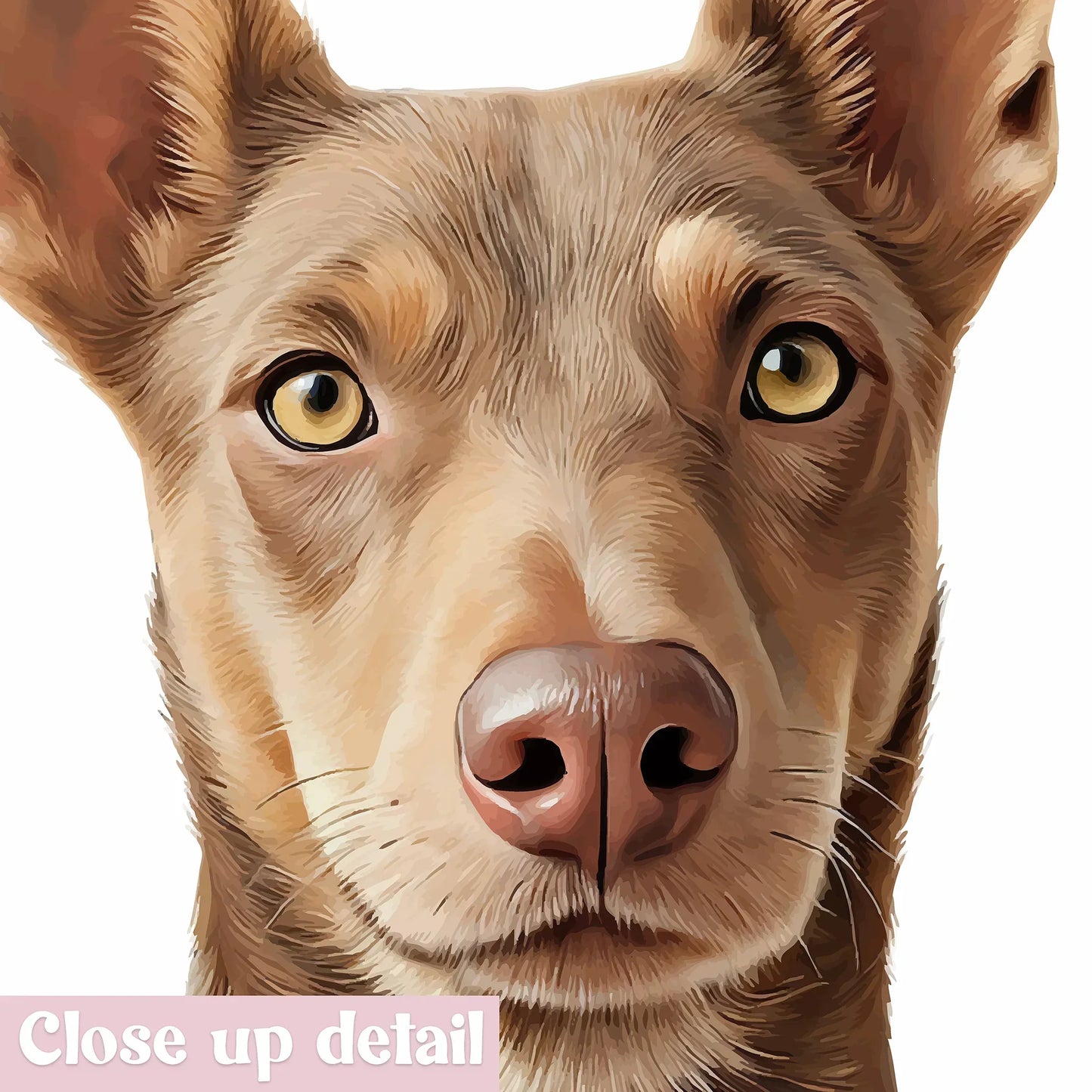Circle Realistic Pet Portrait - Pets Into Art - Custom Dog and Cat Artworks Australia