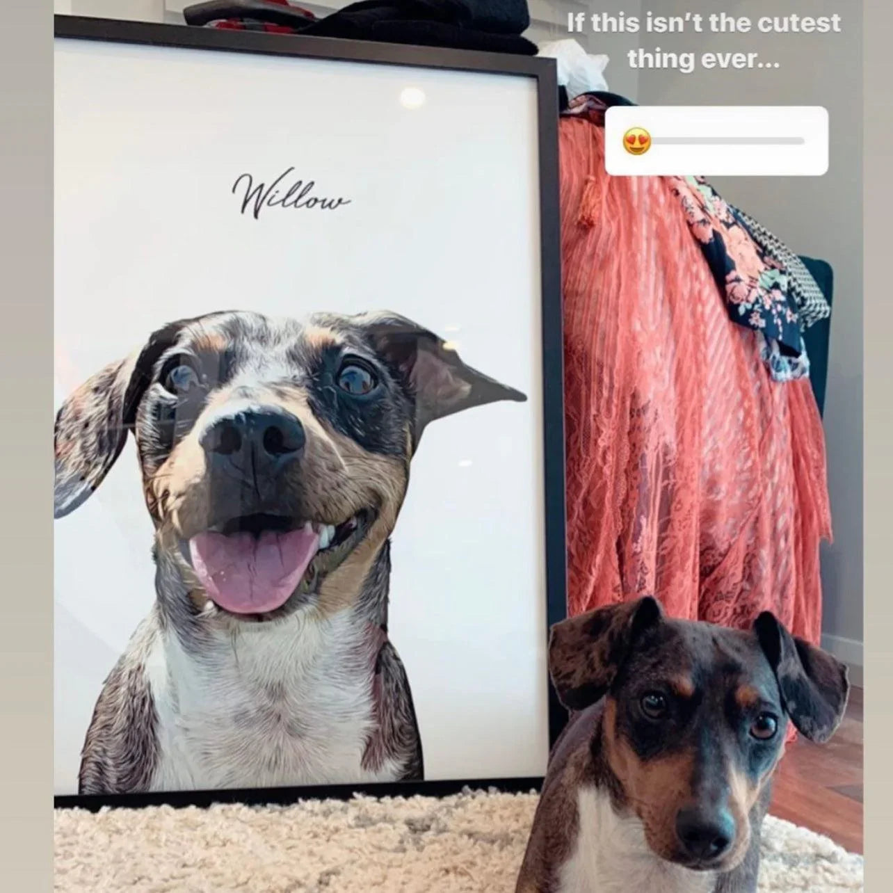 Realistic Pet Portrait - Pets Into Art - Custom Dog and Cat Artworks Australia