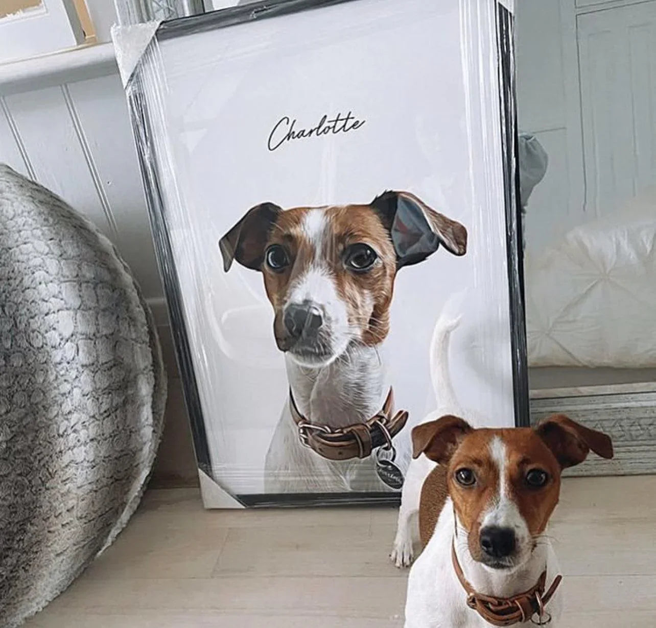 Realistic Pet Portrait - Pets Into Art - Custom Dog and Cat Artworks Australia