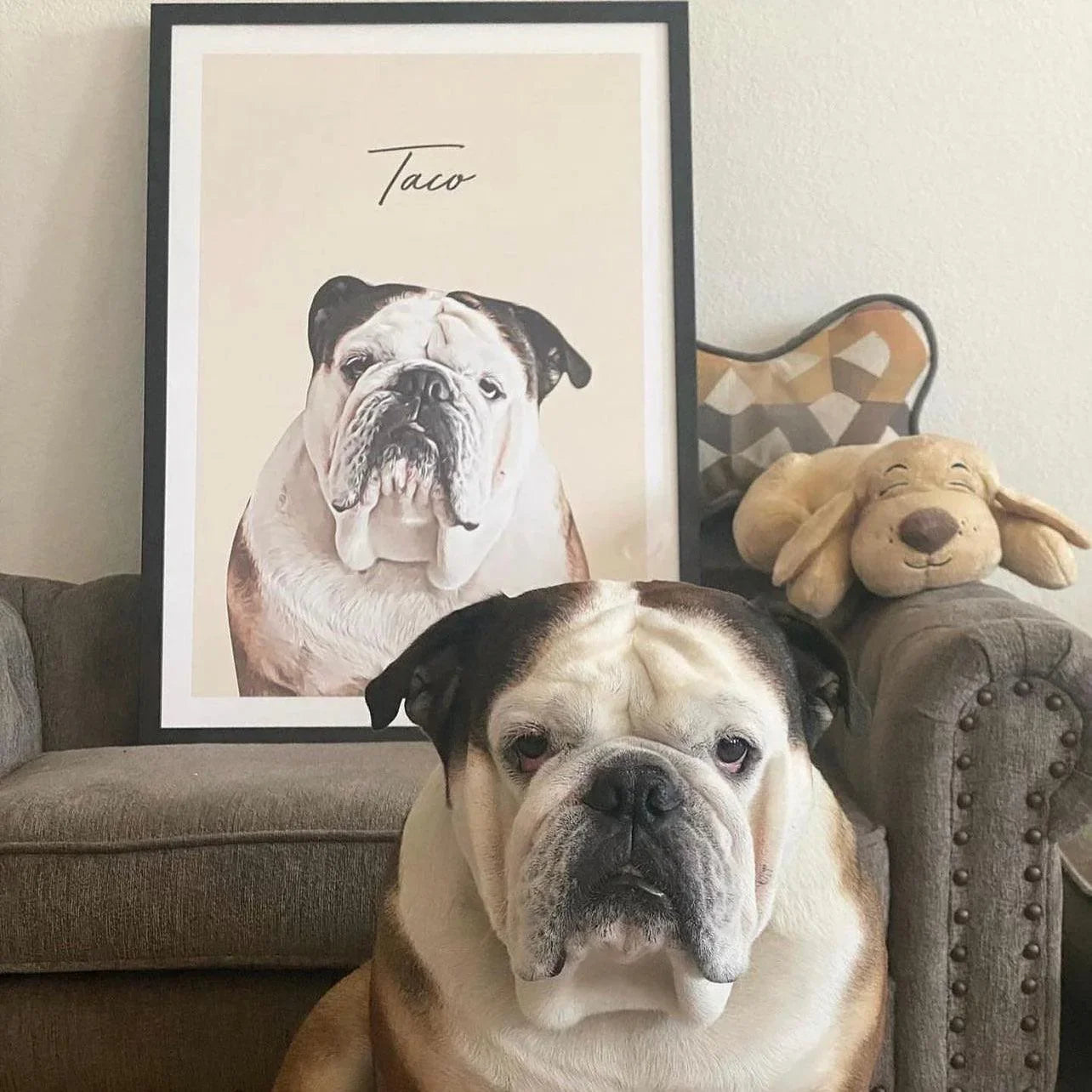 Realistic Pet Portrait With Border - Pets Into Art - Custom Dog and Cat Artworks Australia