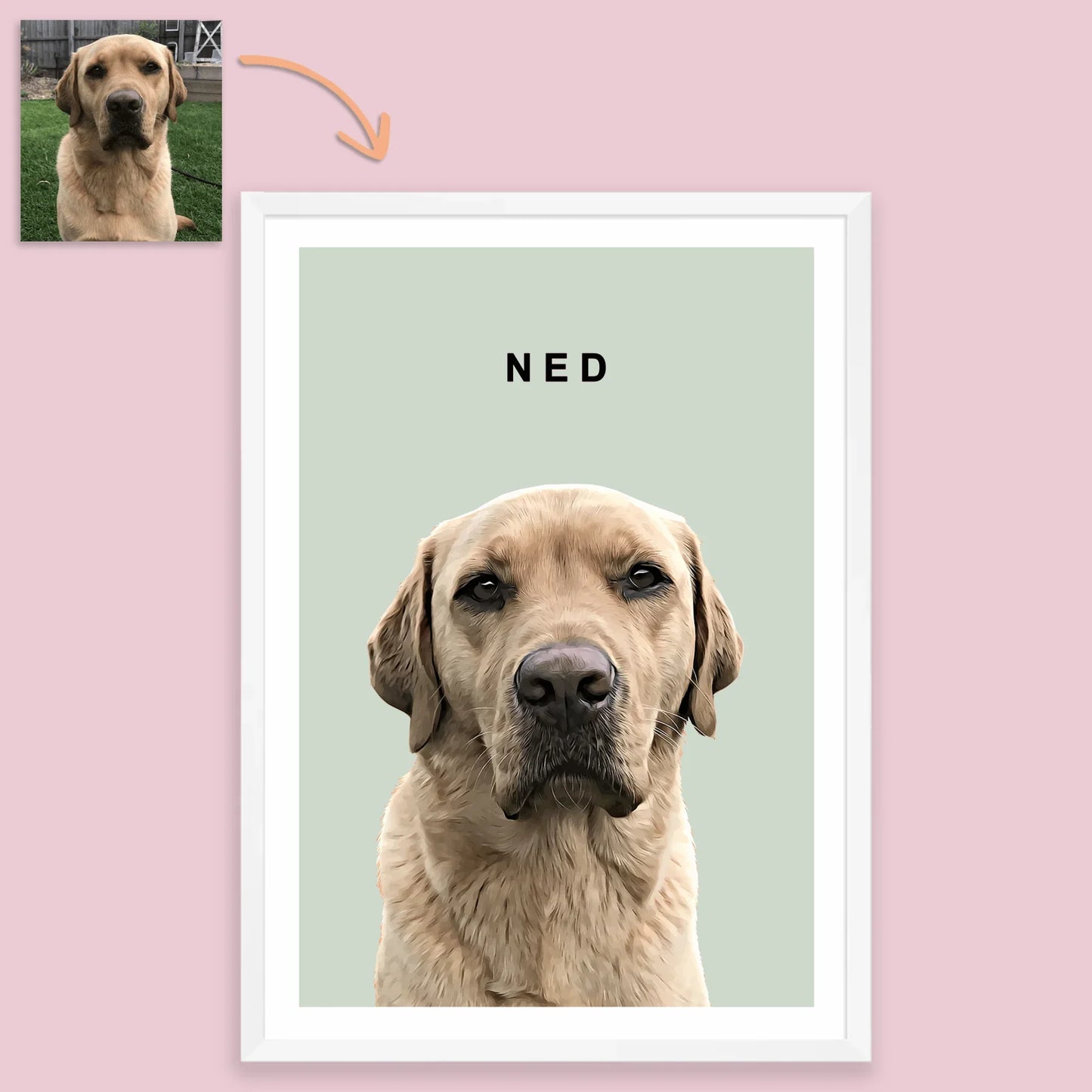 Realistic Pet Portrait With Border - Pets Into Art - Custom Dog and Cat Artworks Australia