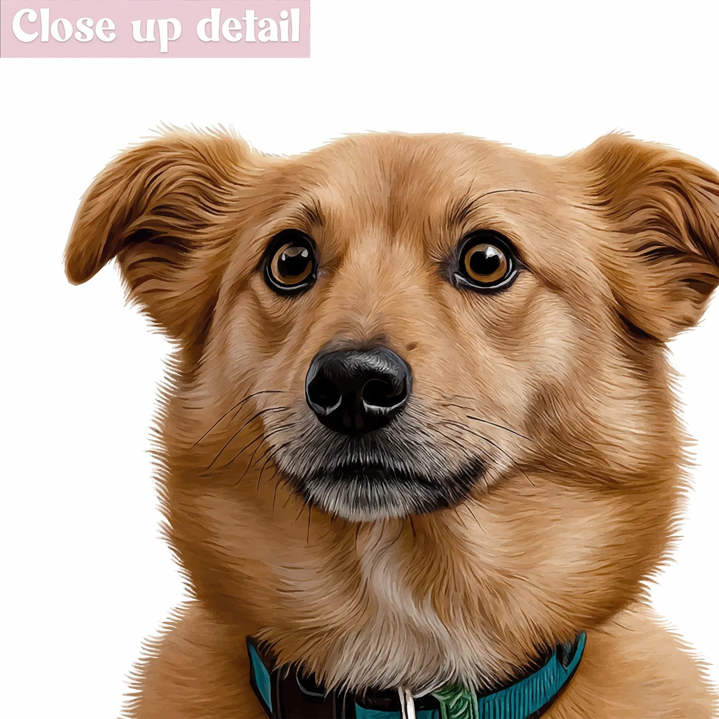 Realistic Pet Portrait