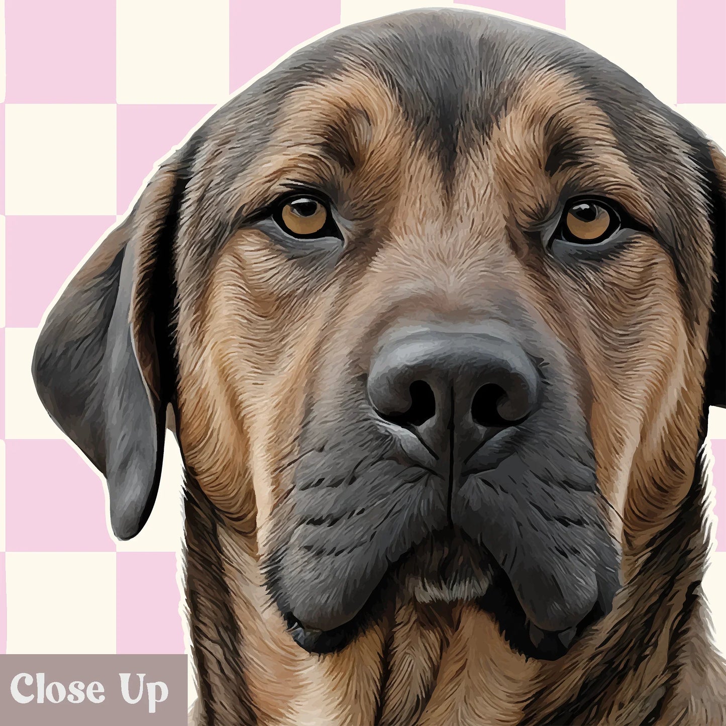 Checkered Realistic Pet Portrait