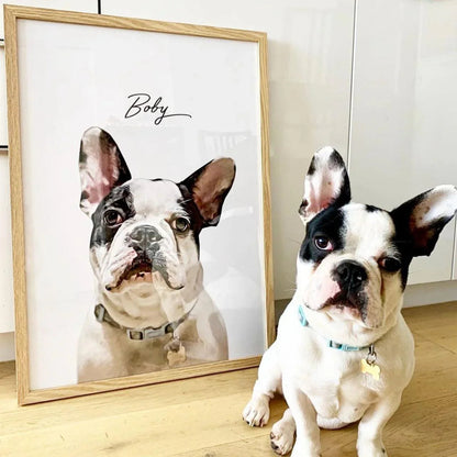 Black and white French Bulldog sitting next to its natural timber framed custom realistic pet portrait named Boby.