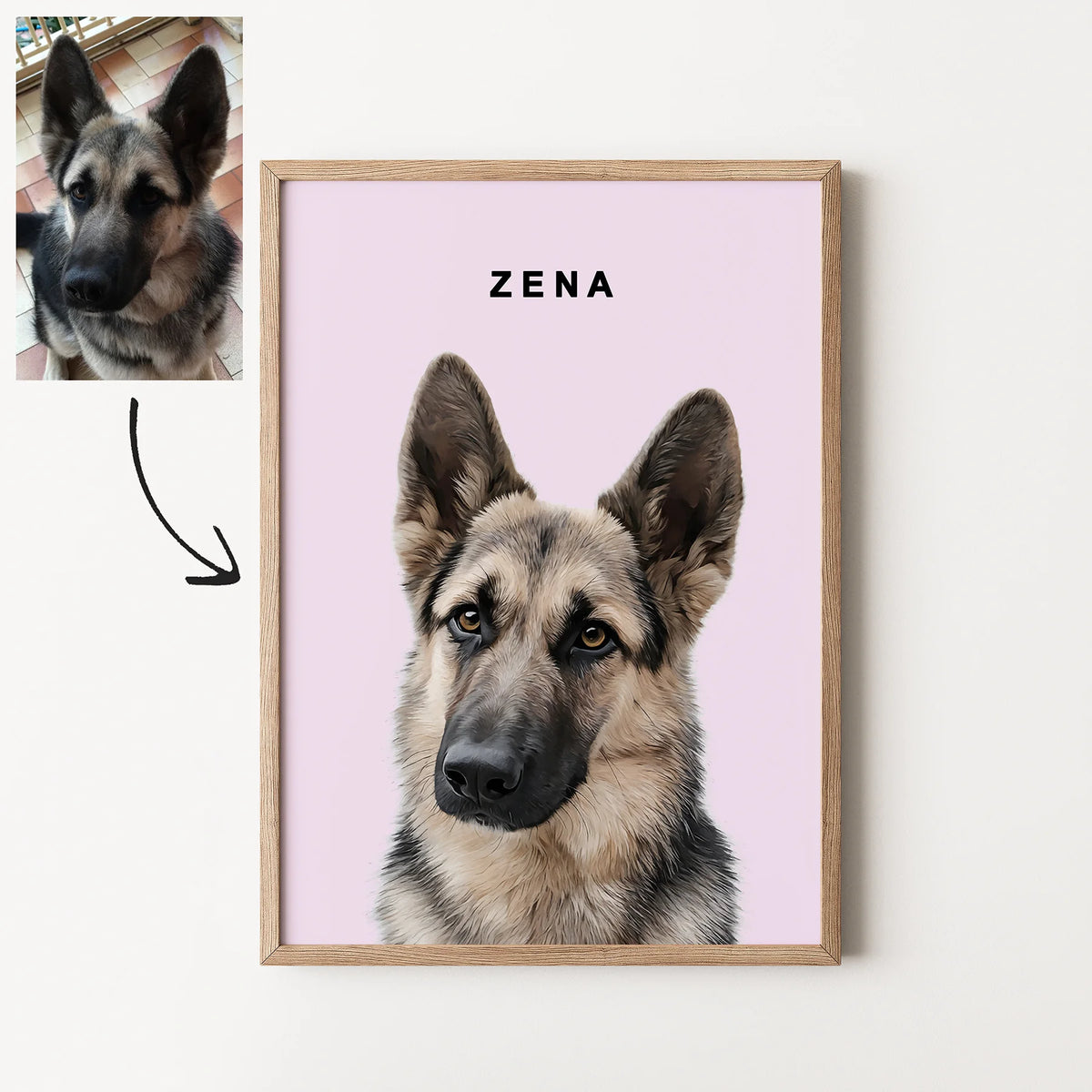 Framed custom realistic German Shepherd portrait with pink background and photo reference.