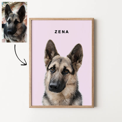Framed custom realistic German Shepherd portrait with pink background and photo reference.