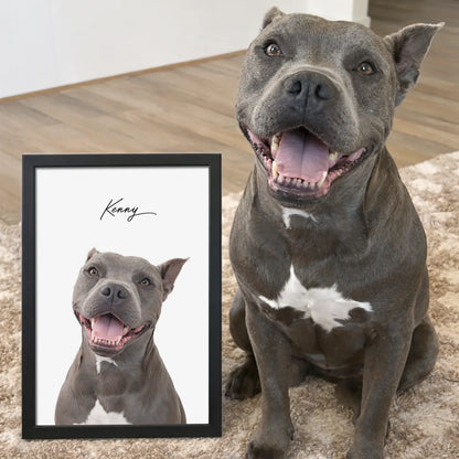 Smiling grey Pitbull Staffy sitting on rug next to its black framed custom realistic pet portrait named Kenny.