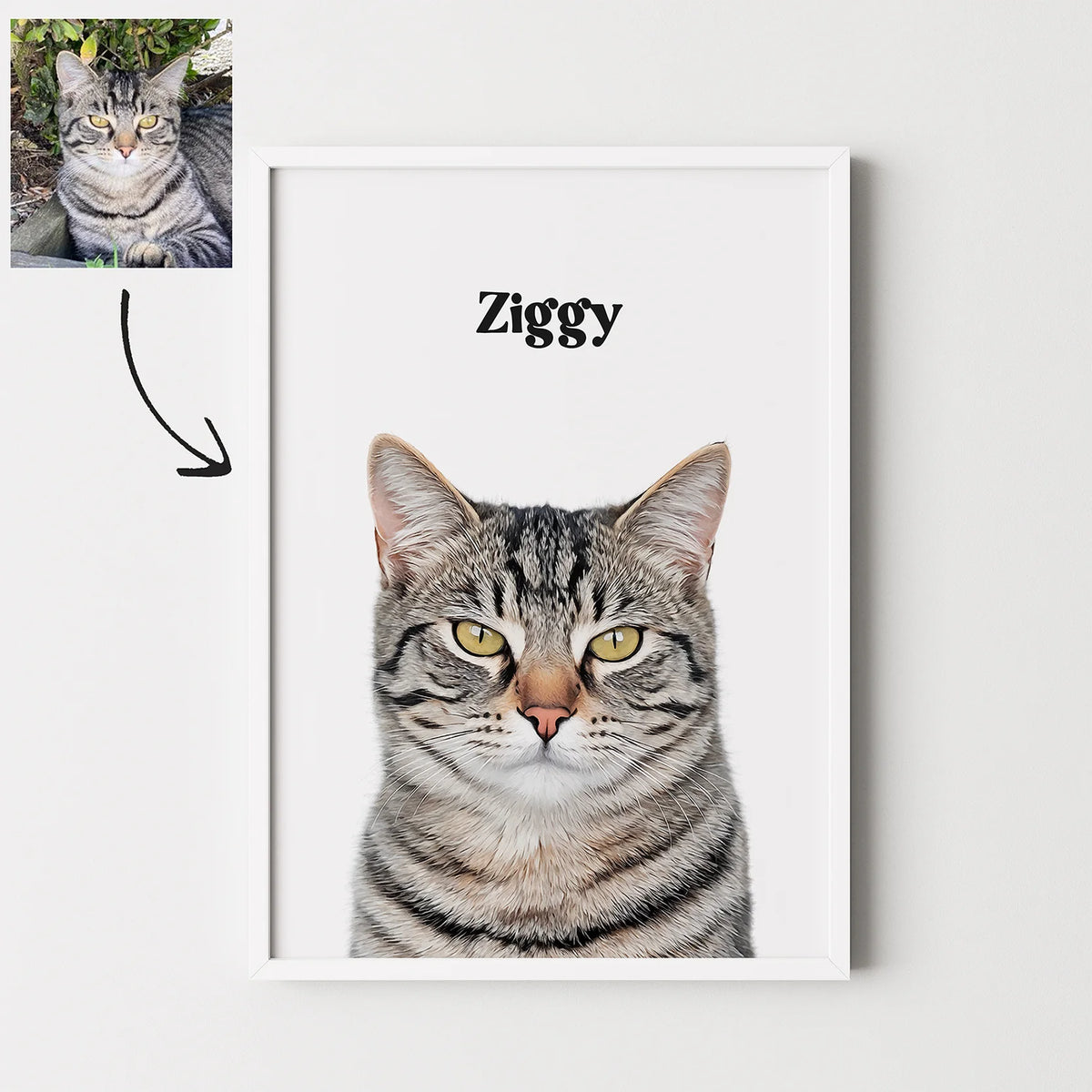 White framed custom realistic tabby cat pet portrait named Ziggy with original photo reference.