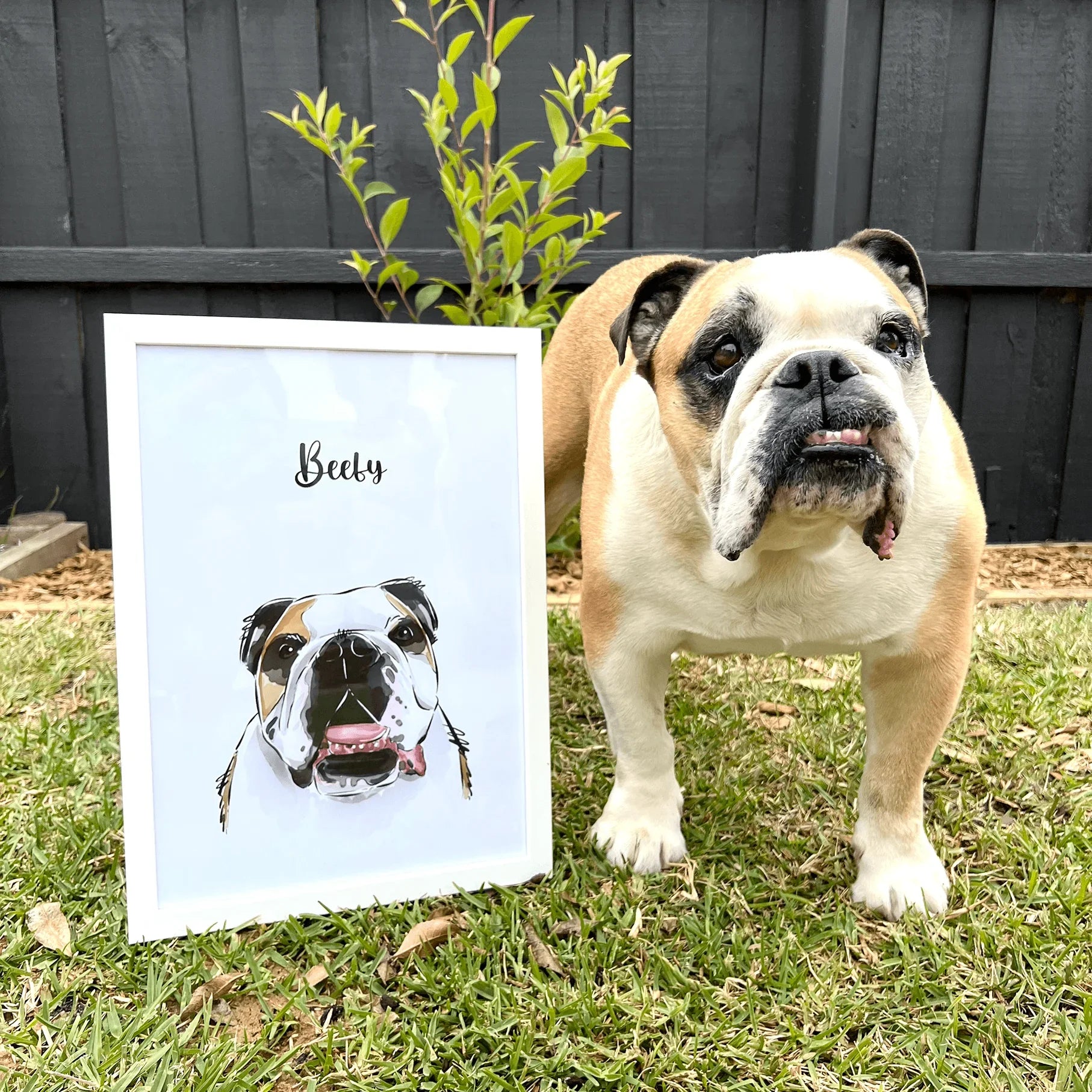 Gouache Style Pet Portrait - Pets Into Art - Custom Dog and Cat Artworks Australia
