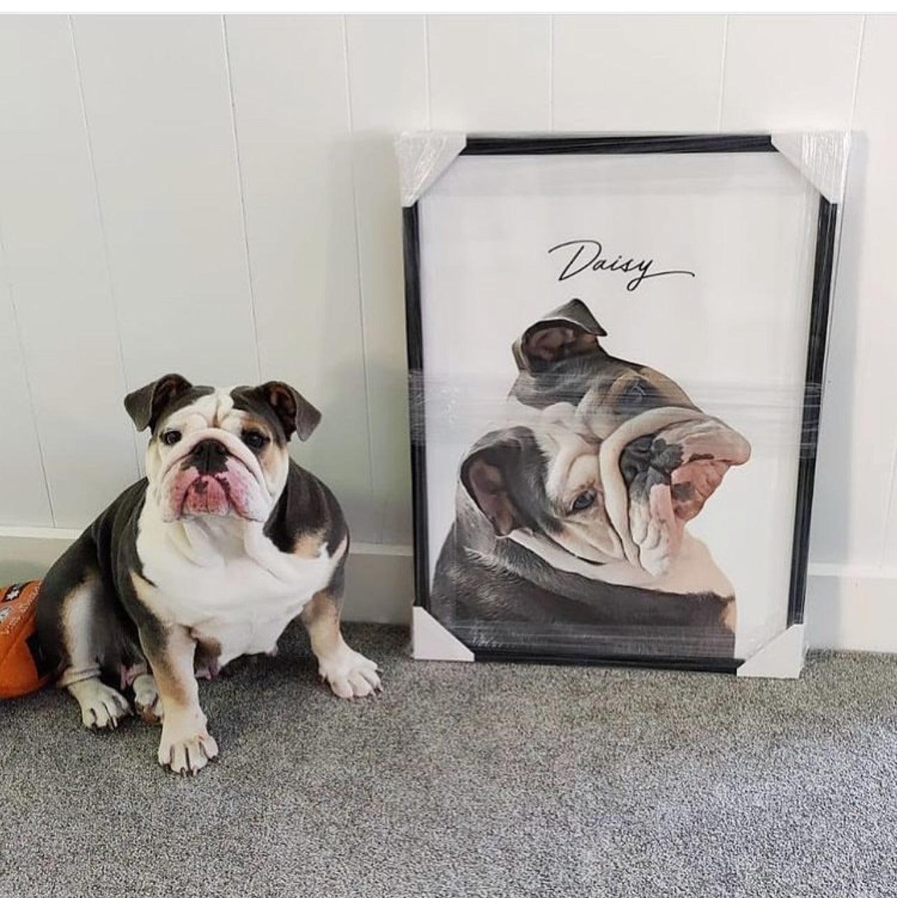 Realistic Pet Portrait - Pets Into Art