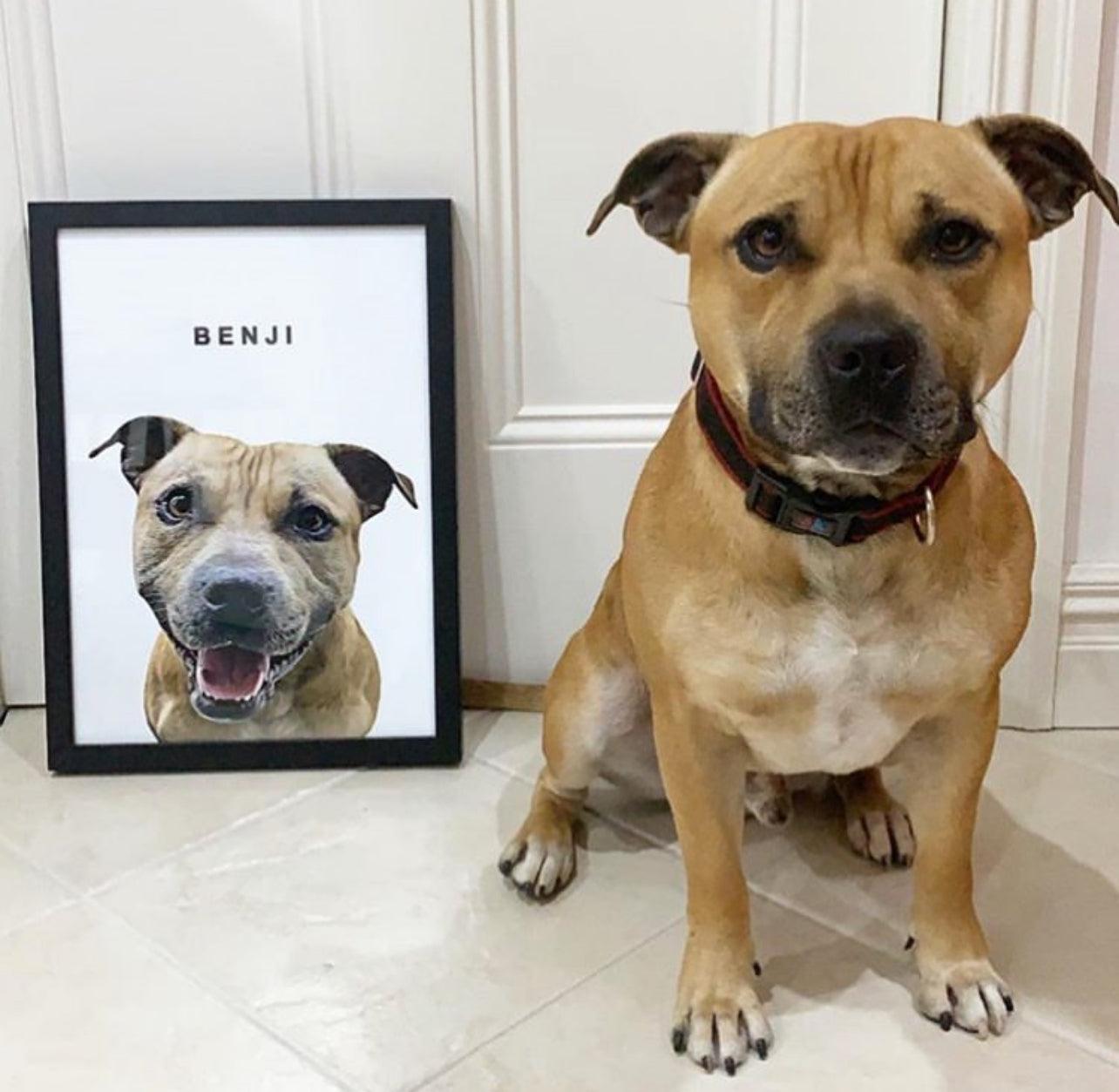 Realistic Pet Portrait - Pets Into Art