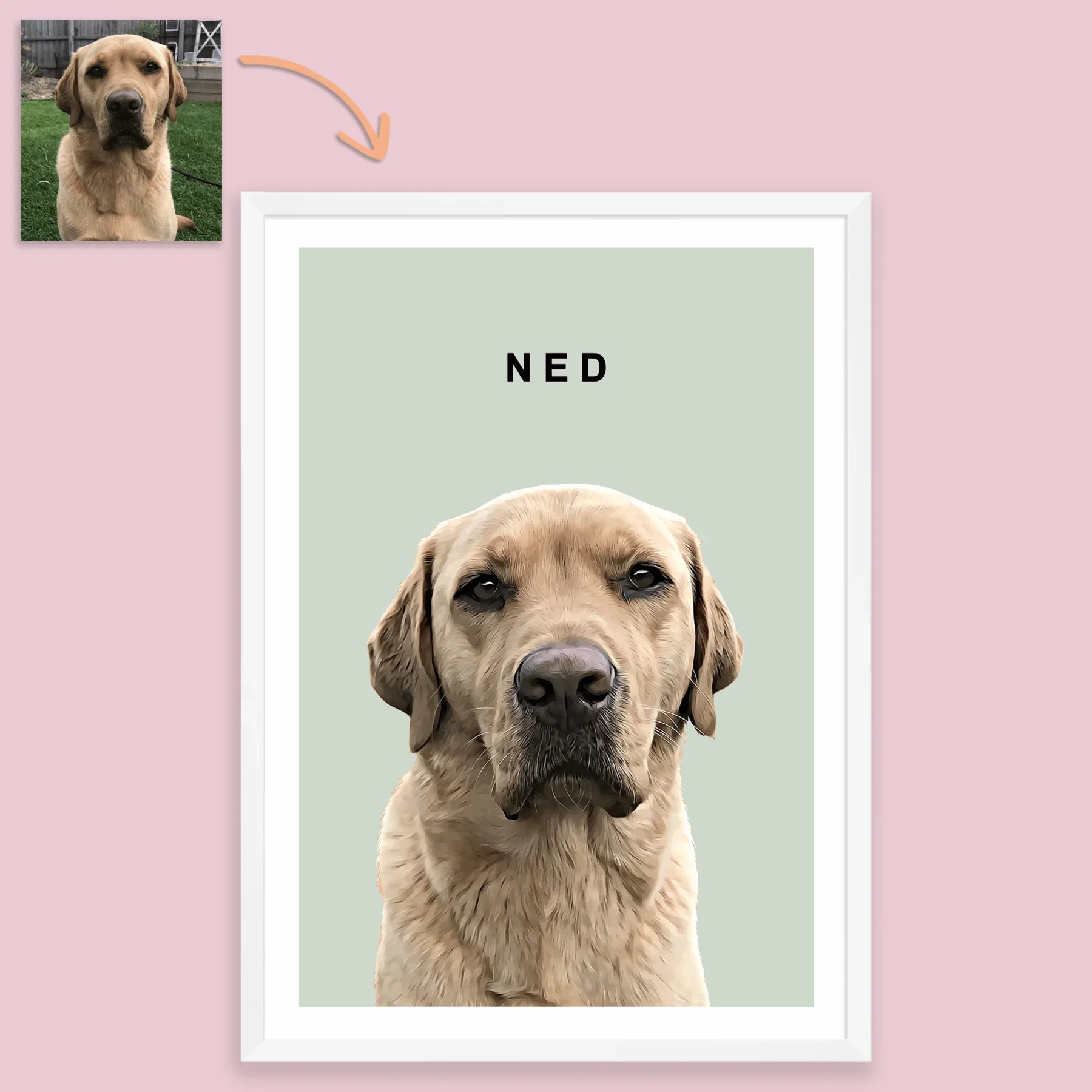 Realistic Pet Portrait With Border - Pets Into Art - Custom Dog and Cat Artworks Australia