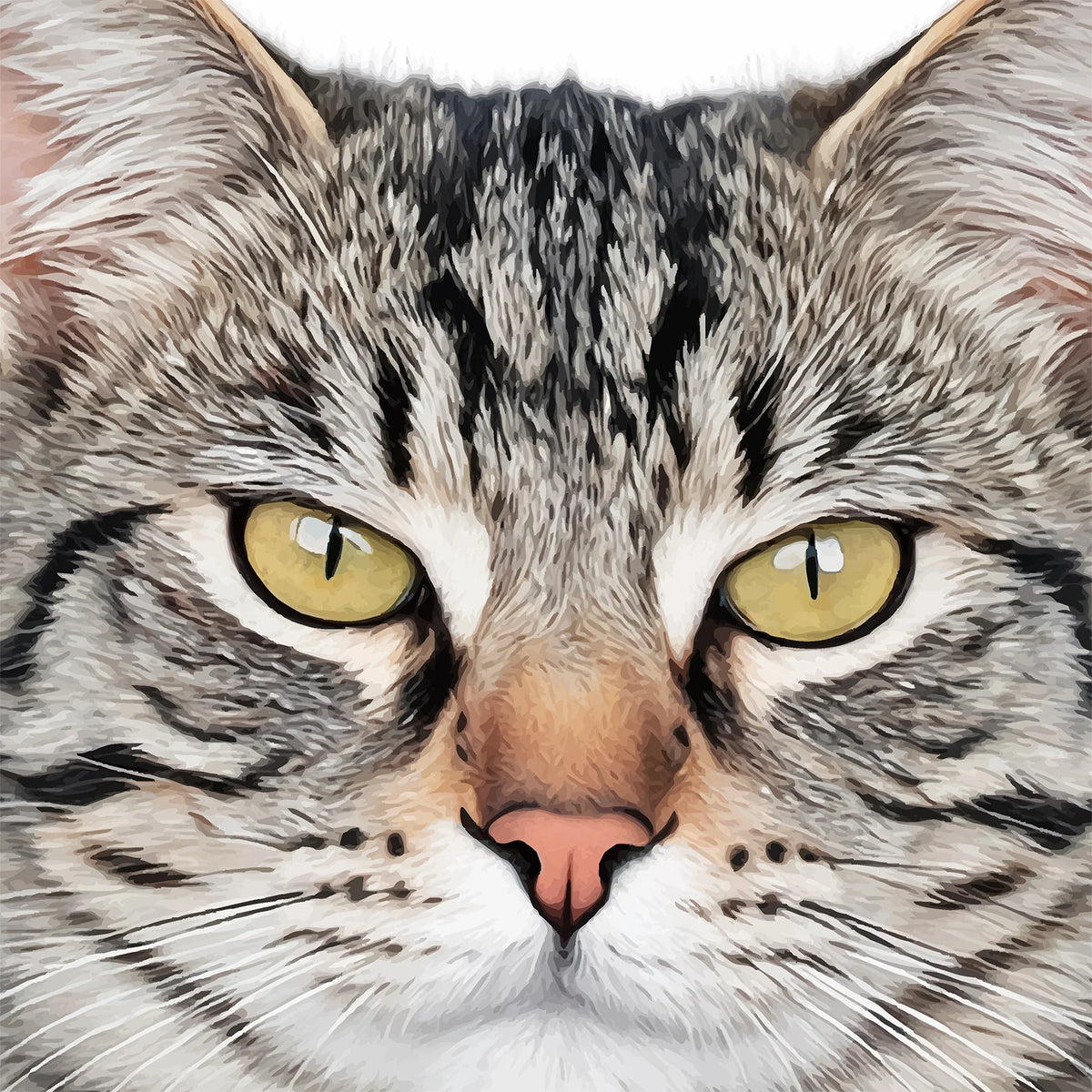 Extreme close up detail of custom realistic tabby cat portrait showing fur and eye texture.