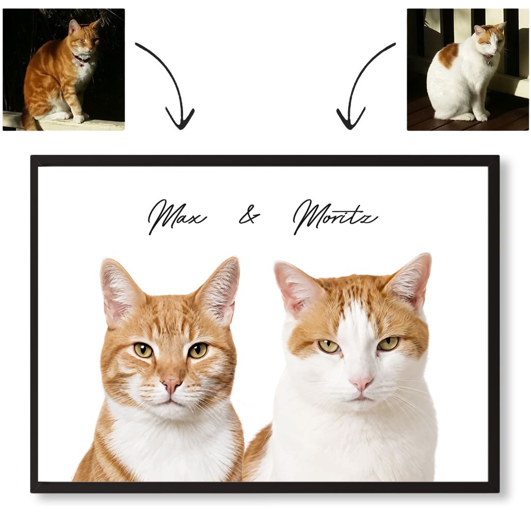 Two separate phone photos of ginger cats combined into a single framed pet portrait featuring Max and Moritz by Pets into Art.