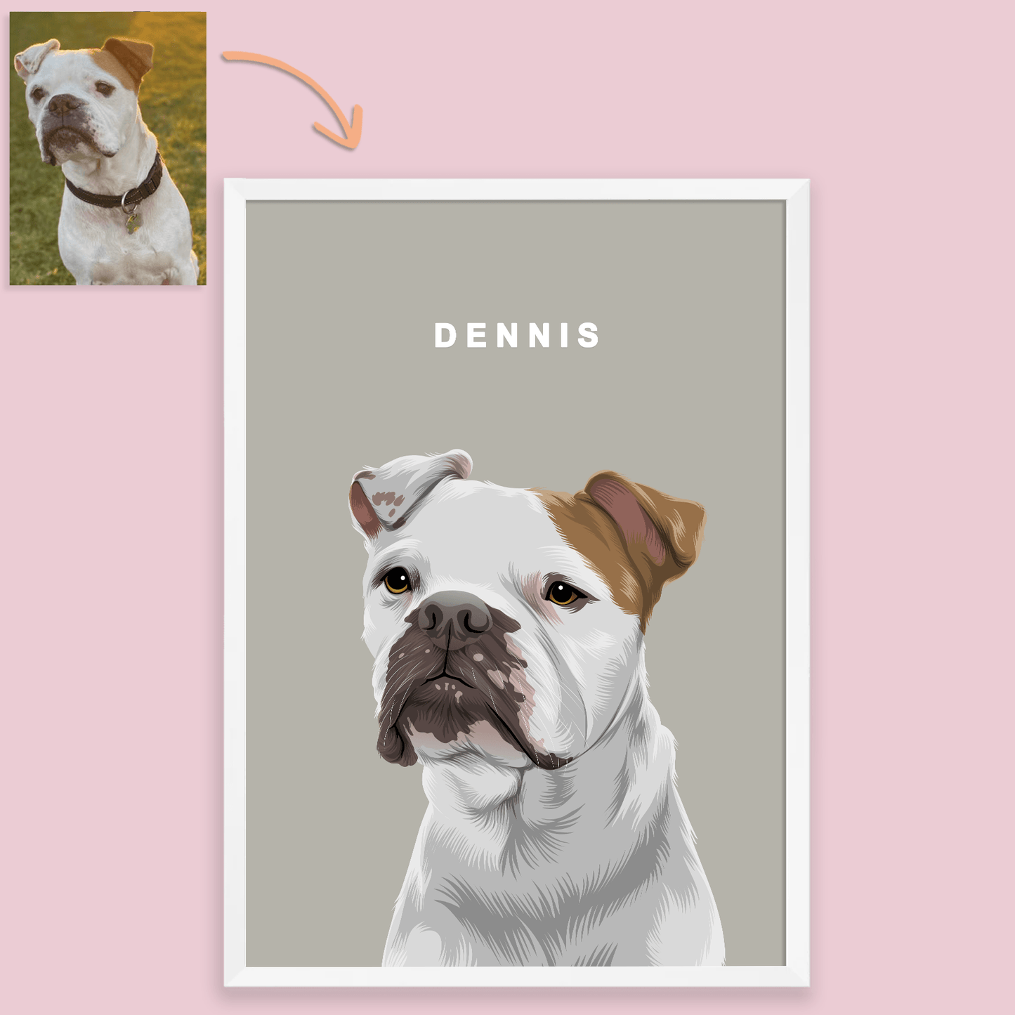 Vector Pet Portrait - Pets Into Art