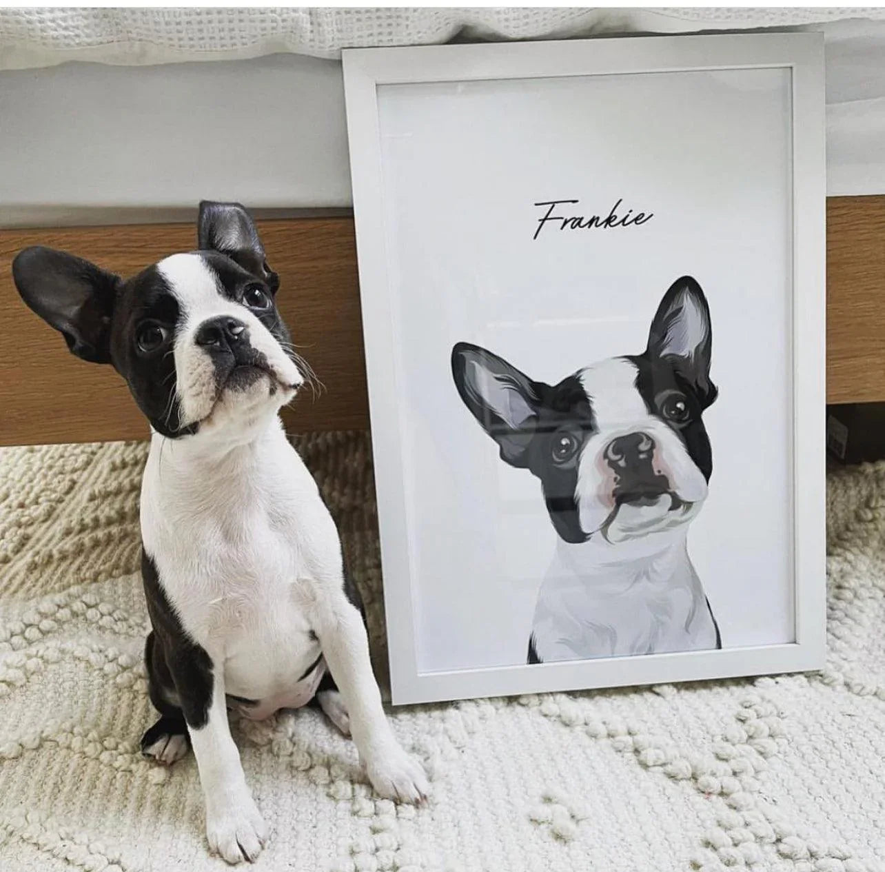 Vector Pet Portrait - Pets Into Art - Custom Dog and Cat Artworks Australia